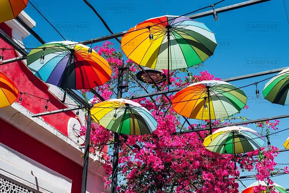 General Section Image