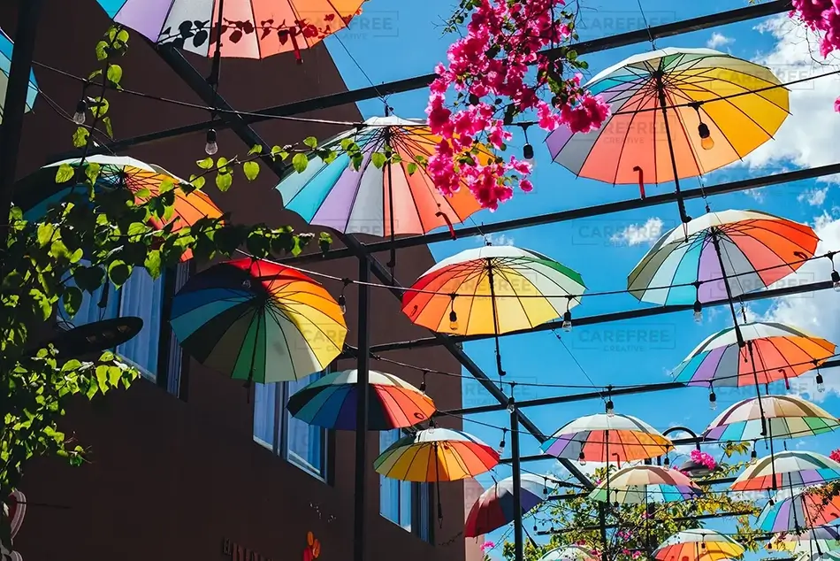 General Section Image