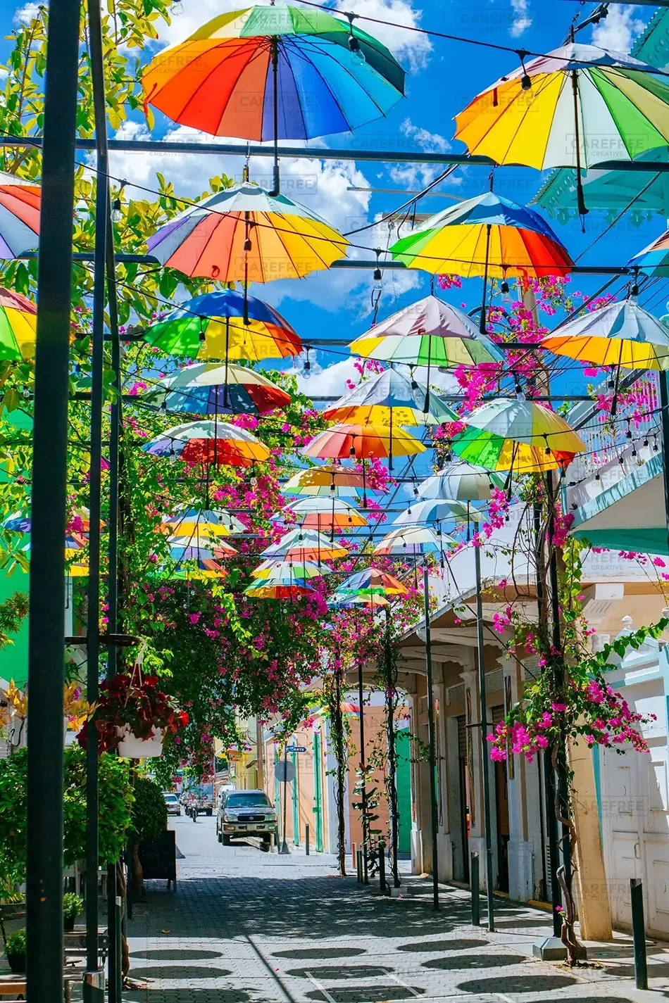 General Section Image