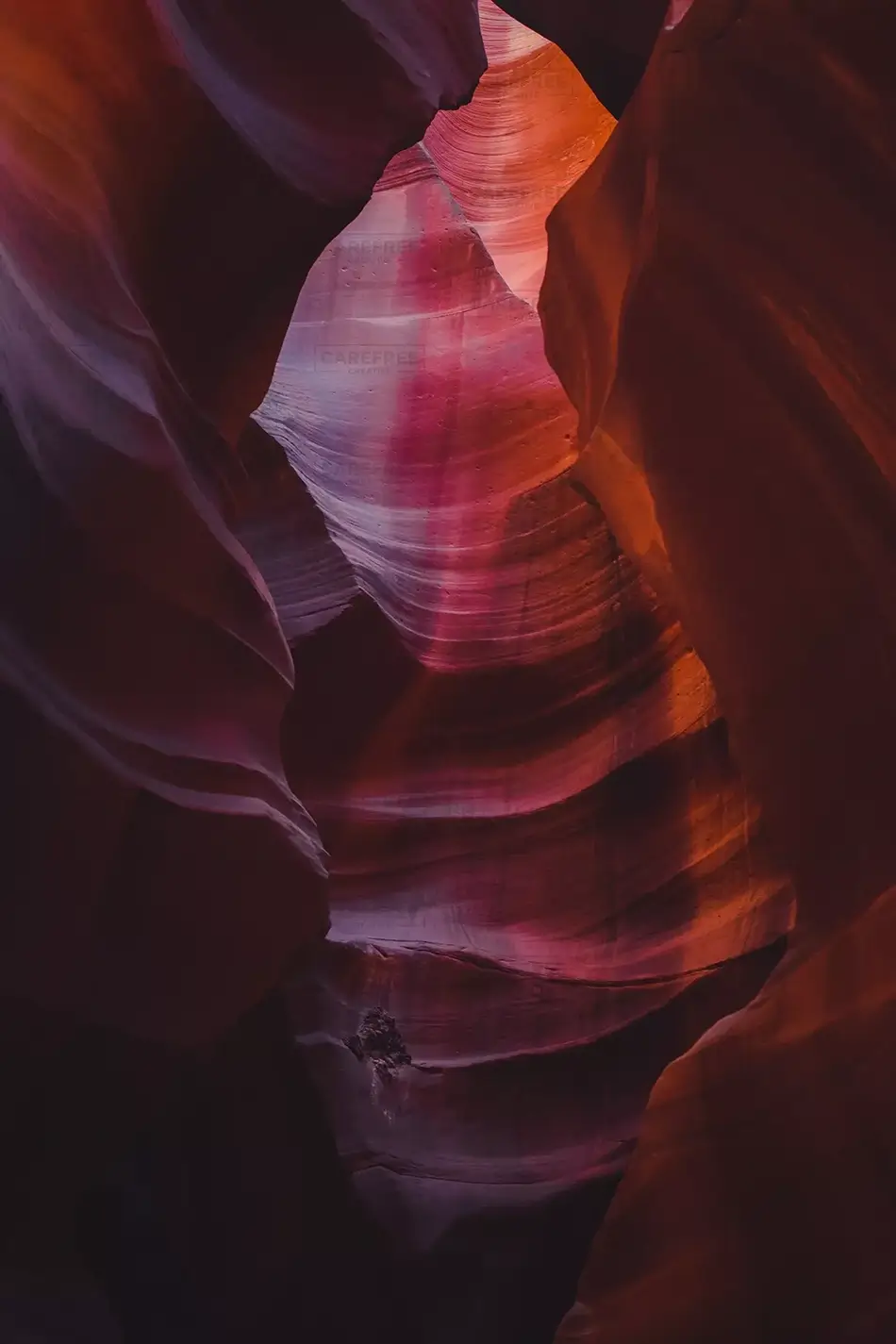 General Section Image