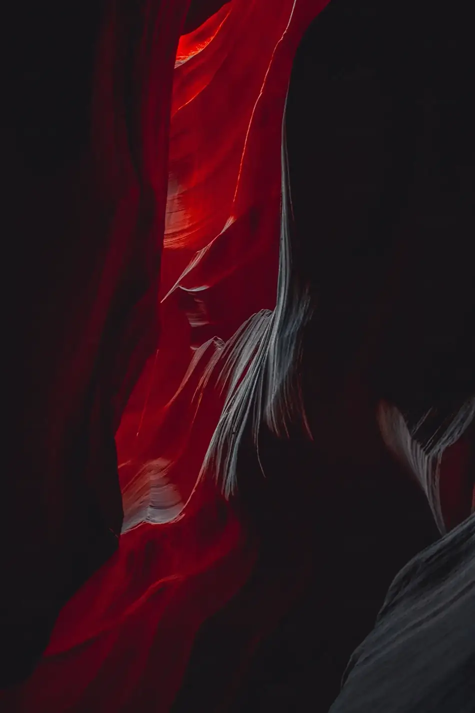 General Section Image