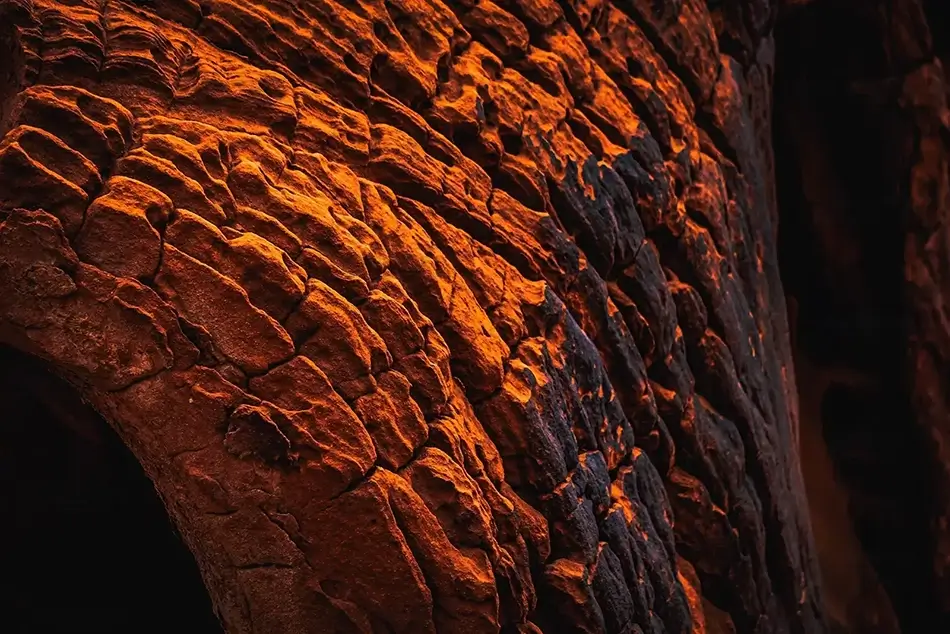 General Section Image