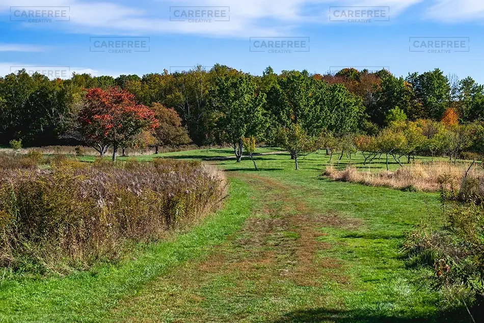 General Section Image