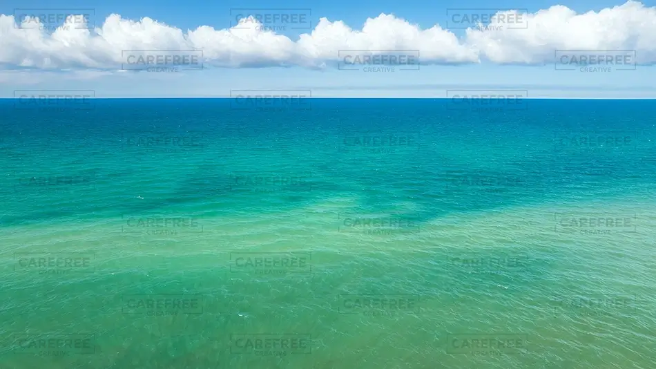 General Section Image