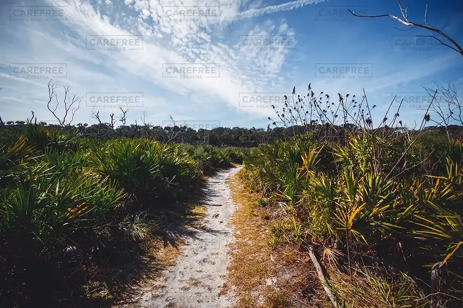 General Section Image