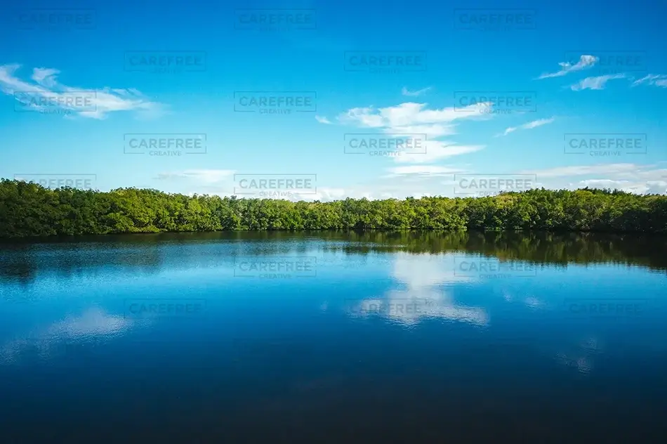 General Section Image