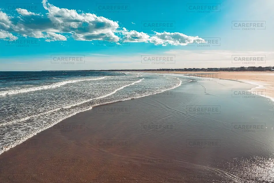 General Section Image