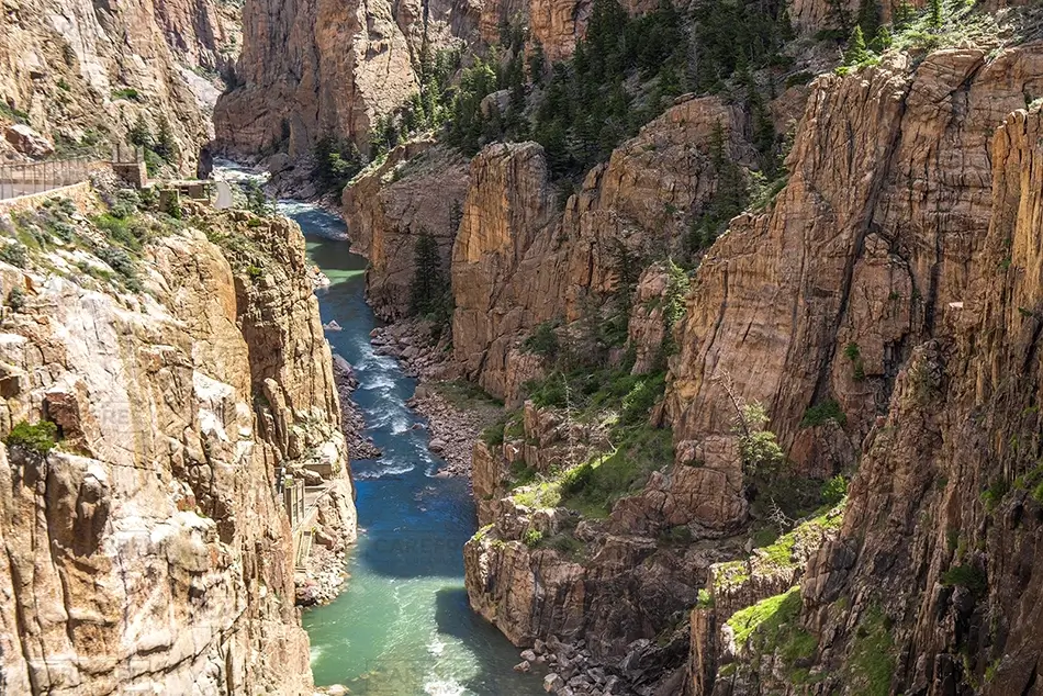 General Section Image