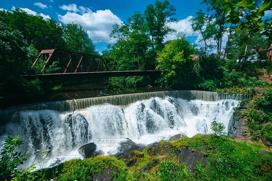 General Section Image