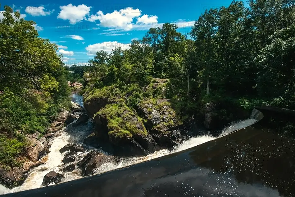 General Section Image