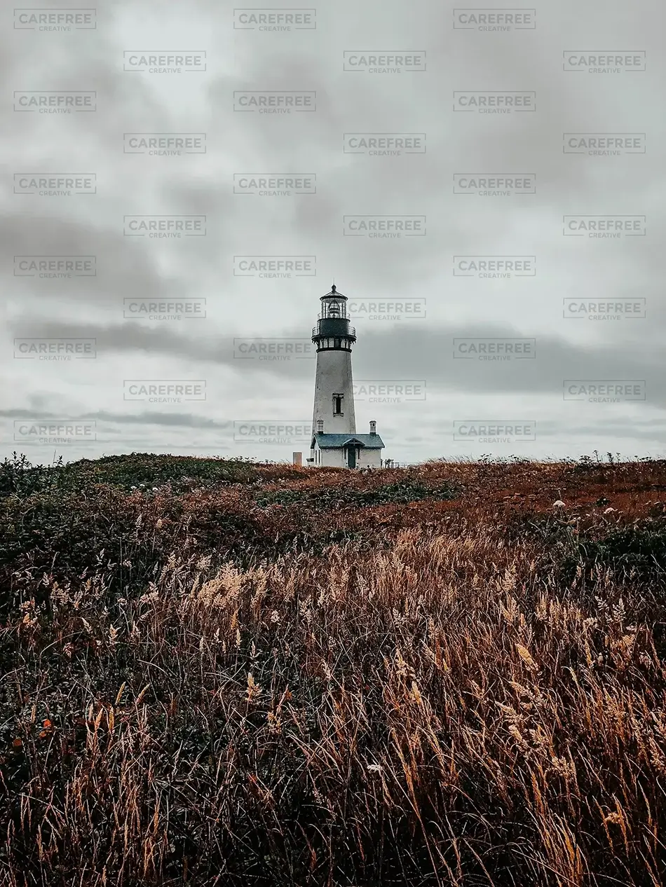 General Section Image