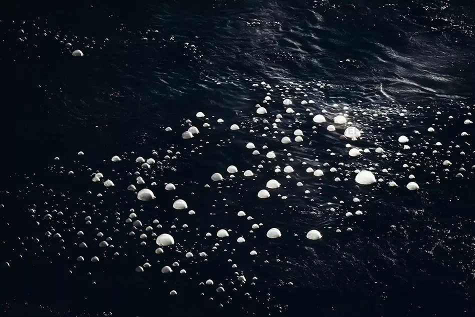 General Section Image