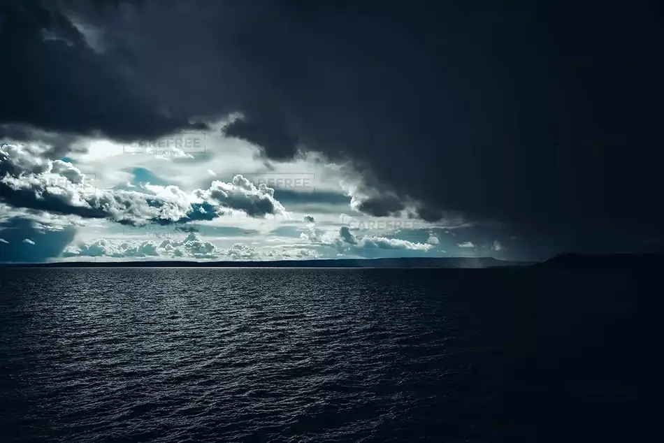 General Section Image