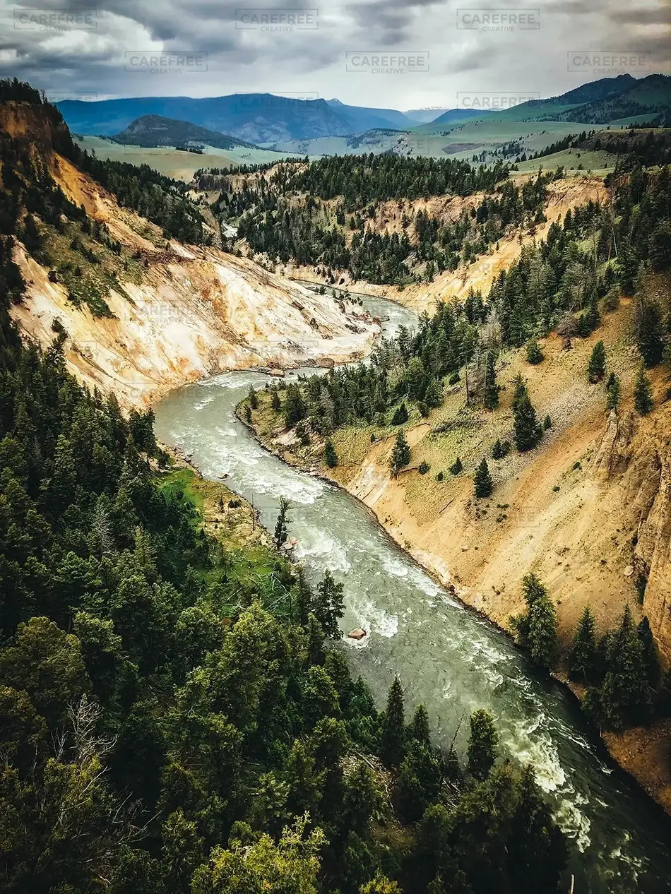 General Section Image