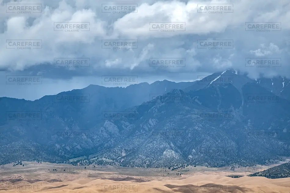 General Section Image