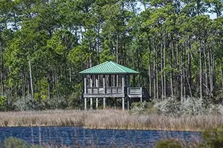 Bon Secour National Wildlife Refuge Secluded Nature Viewing Platform