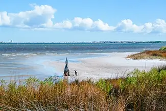 Bon Secour National Wildlife Refuge Driftwood On White Sandy Beach