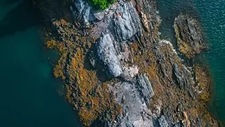 Cabbage Island Aerial View Of Rugged Coastline