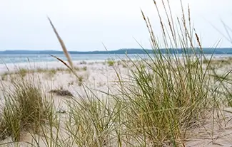 Sleeping Bear Dunes Beach Grass and Tranquil Lake View