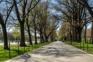 Washington DC Tree Lined Pathway Jogger